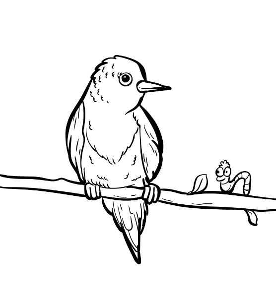 birds coloring pages