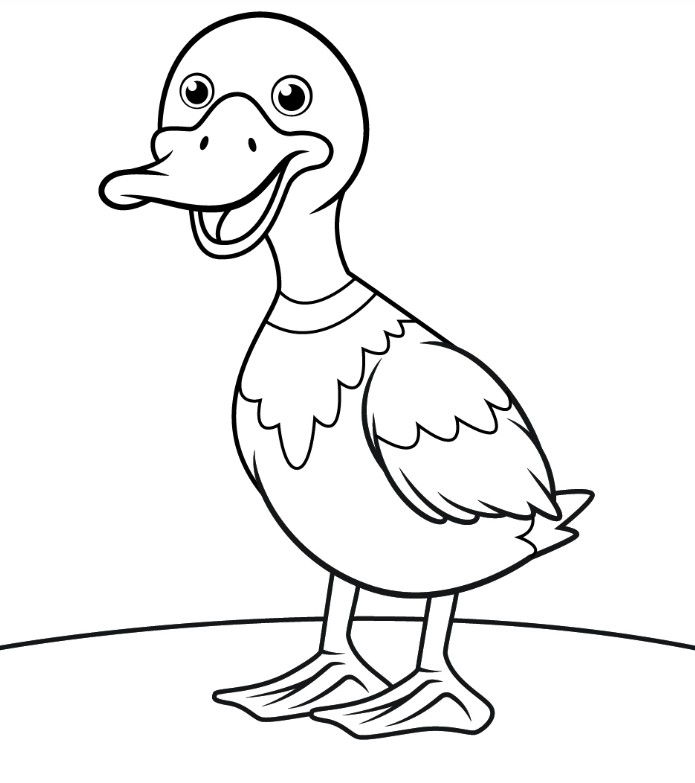 This is a  duck coloring pages color picture of a duck,duckling coloring and Printable Duck Drawings for kids and adults