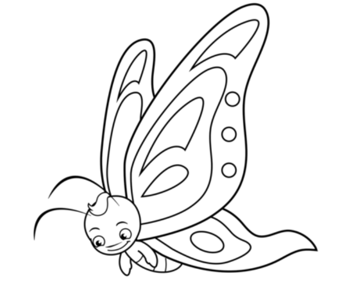 Butterfly coloring pages and Printable Butterfly Drawings